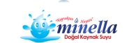 daynex e-ticaret logo
